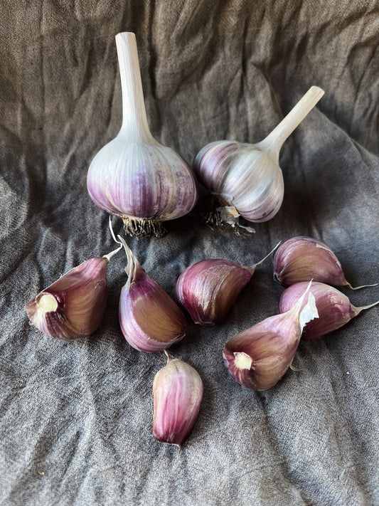 Garlic, assorted sizes